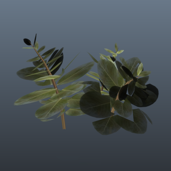 CJ_PROC_PLANT_8