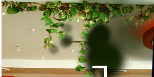 Undertale_Omega_Flowey_Vines_1_hidden_alpha.png