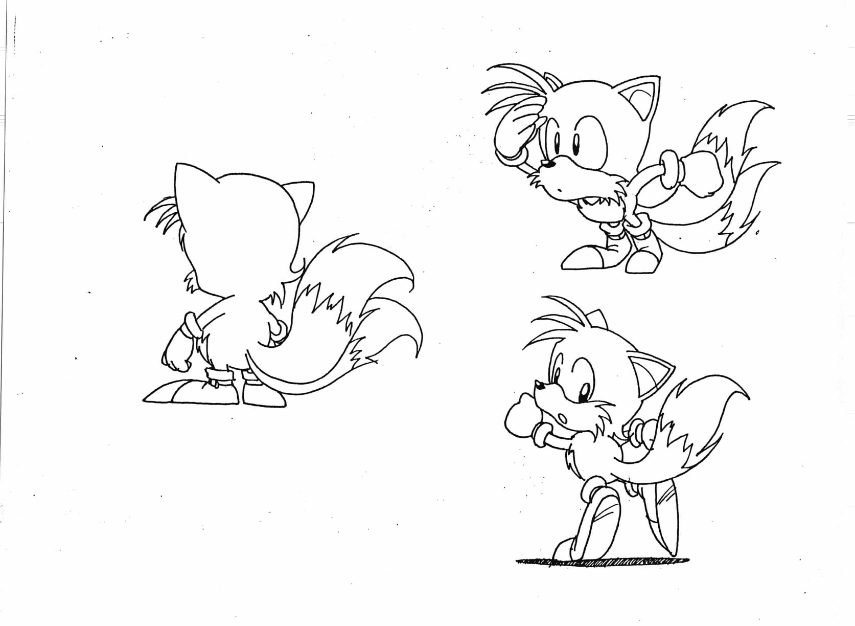 Line art of various Tails poses. In the bottom-right pose, Tails erroneously has only a single tail. Line art of various Tails poses. In the bottom-right pose, Tails erroneously has only a single tail.