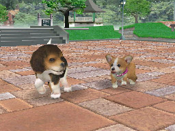 Ds_Nintendogs_ss_10.jpg Ds_Nintendogs_ss_10.jpg