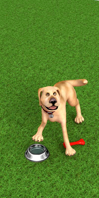 JohnDog-A17_01_-186.png_‎