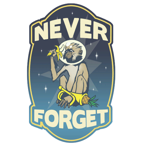 The logo on the Never Forget Hat.
