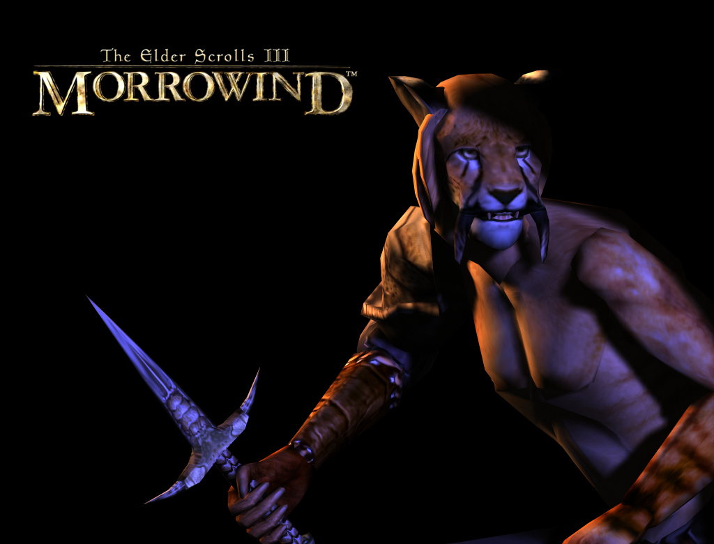 Khajiit wallpaper. Khajiit wallpaper.