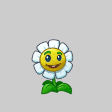 Plant Food Plant Food
