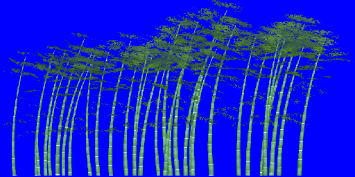 CSDS-Lostcause_bam_trees07.png_‎