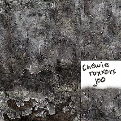 Chewie rocks our rocks.