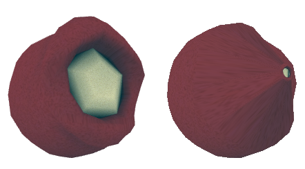 ThornPlantEye ThornPlantEye
