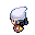 PokeDP_OW_heroine_WalkW_1.3.gif
