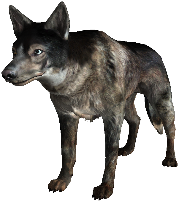 FO3-Dog.png FO3-Dog.png