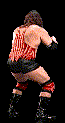 wwfwrestarc-A2JT2A.gif