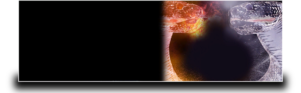 LuminesAriseDemo_style_board_img_009.png