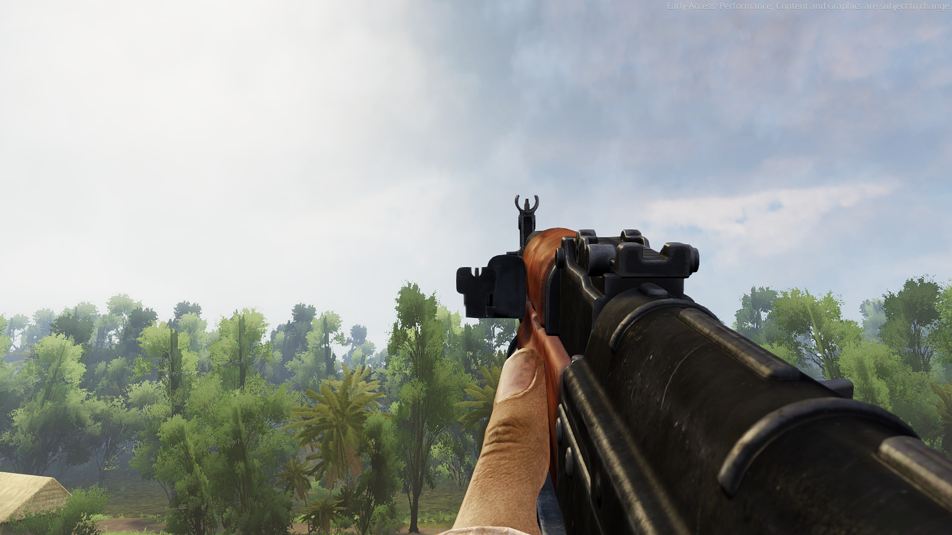 Aiming down the sights. Aiming down the sights.