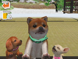 NTD_nintendogs_0223_a1.jpg NTD_nintendogs_0223_a1.jpg