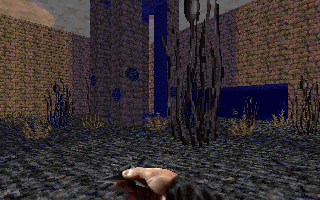 swsep95_e1l3_10.png swsep95_e1l3_10.png