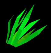 GRASS2