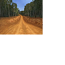 CMR04_xbox_demo_icons_aus_s6.png