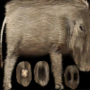 Turokunused_(44).png