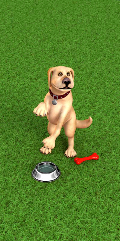 JohnDog-A27_02_-553.png