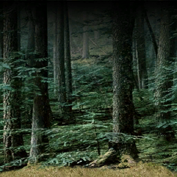 DungeonSiege2-b_t_grs02_for_wall-b.png DungeonSiege2-b_t_grs02_for_wall-b.png