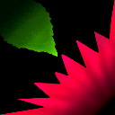 titfleur2_nz titfleur2_nz