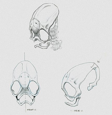Abe/Mudokon Skulls.