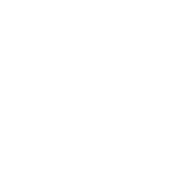 MSSToyFieldIntroAnimtionLogo1.png MSSToyFieldIntroAnimtionLogo1.png