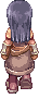 RO-unused-hairanimation-swordsman-f-walkingup.gif