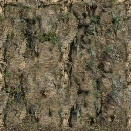DungeonSiege2-b_t_for01_wal_08x08-d.png DungeonSiege2-b_t_for01_wal_08x08-d.png