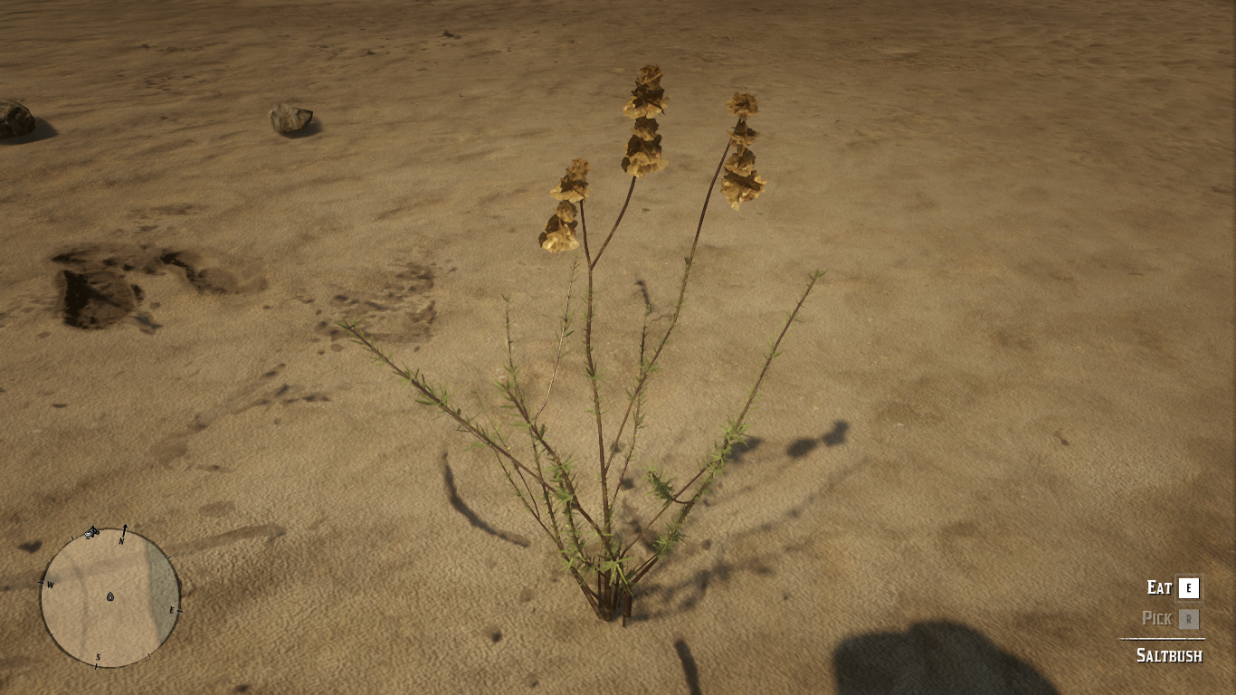 RDR2-SaltbushHerbInGame.png RDR2-SaltbushHerbInGame.png