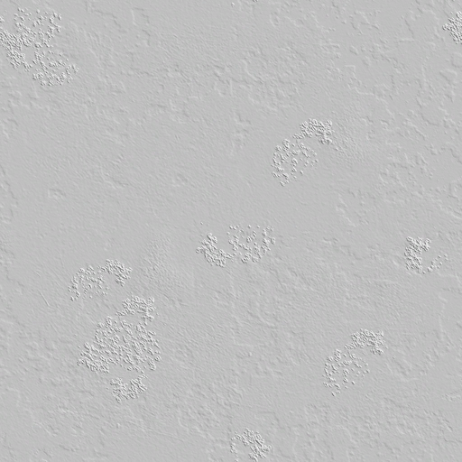 Lbp3_r513946_zt_old_rusty_metal_normal.tex.png