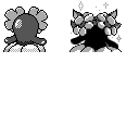 PM2B_182.CBB.w128.png