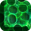Lbp3_r513946_pp_alien_skin_icon.tex.png