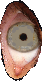 Undertale_spr_flipeye_fulleye.png