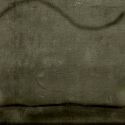 Arm