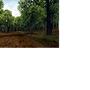 CMR04_xbox_demo_icons_uk_s5.png