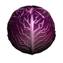 bu_cabbage_purple bu_cabbage_purple