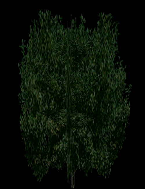 Unused (SC_Tree2) Unused (SC_Tree2)