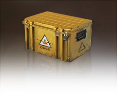 Prisma Case Prisma Case