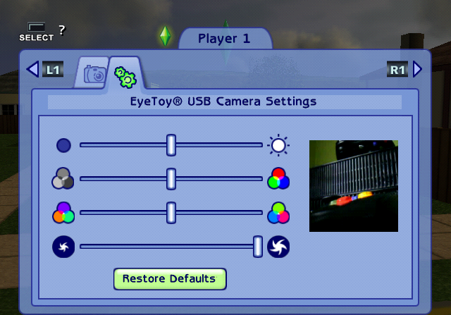 Sims2PS2-FIN_EyeToy-Settings.png