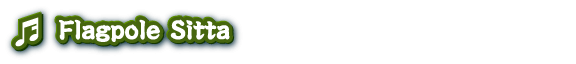 taikoDRUMMASTER-flagpole3.png