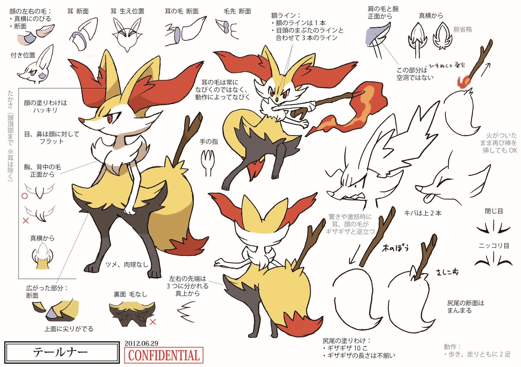 PokeXY_ConceptArt_テールナー_三面図.png