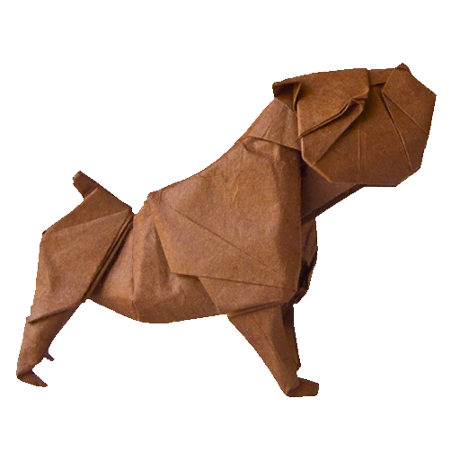 Bull dog Bull dog
