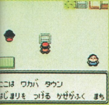 PKMN_GS_Flyer_Screenshot_1.png