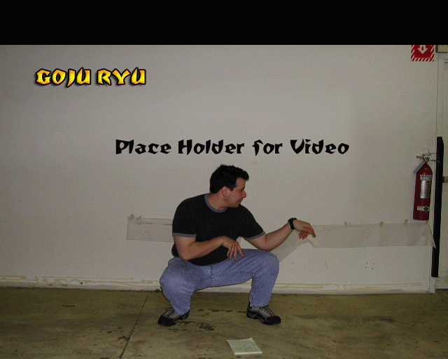 Goju Ryu Goju Ryu