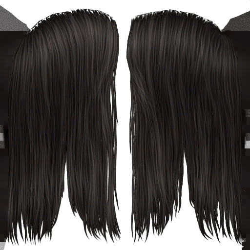 TS2FT_amhairlongsimple-black0_lifo_512x512.png