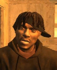 GTAIV_photo_5.png