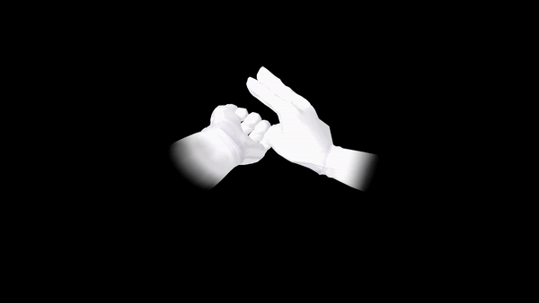 SSBM-Tagcancel.gif
