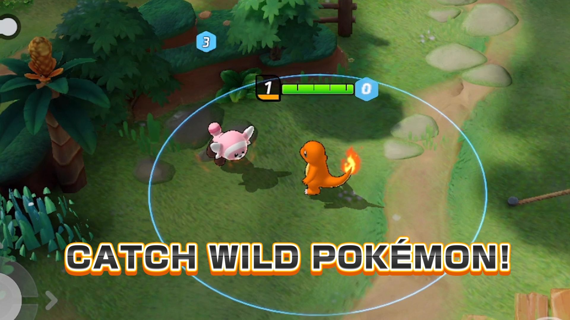 Different healthbar and Stufful as wild Pokémon.