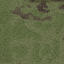 SotC_E35D-slow_c6_mip.png