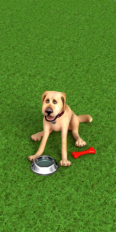 JohnDog-A20_00_-401.png